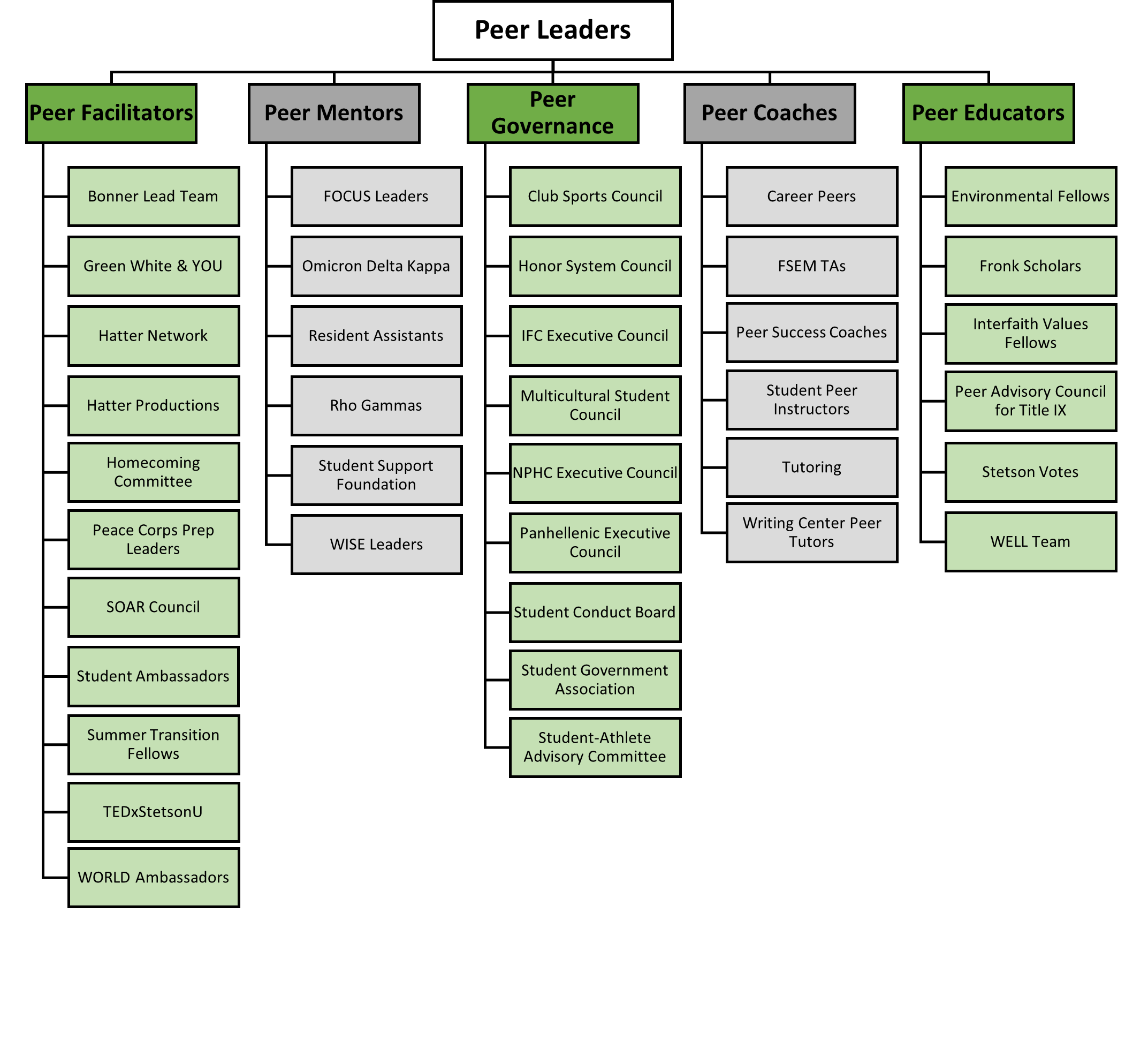 Peer Leader Model chart outline